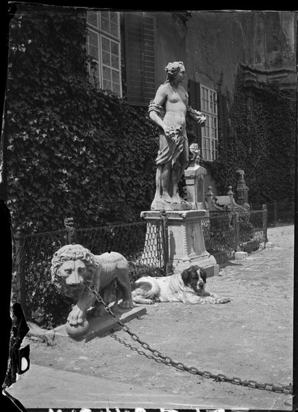[Chien couché dans la cour]
