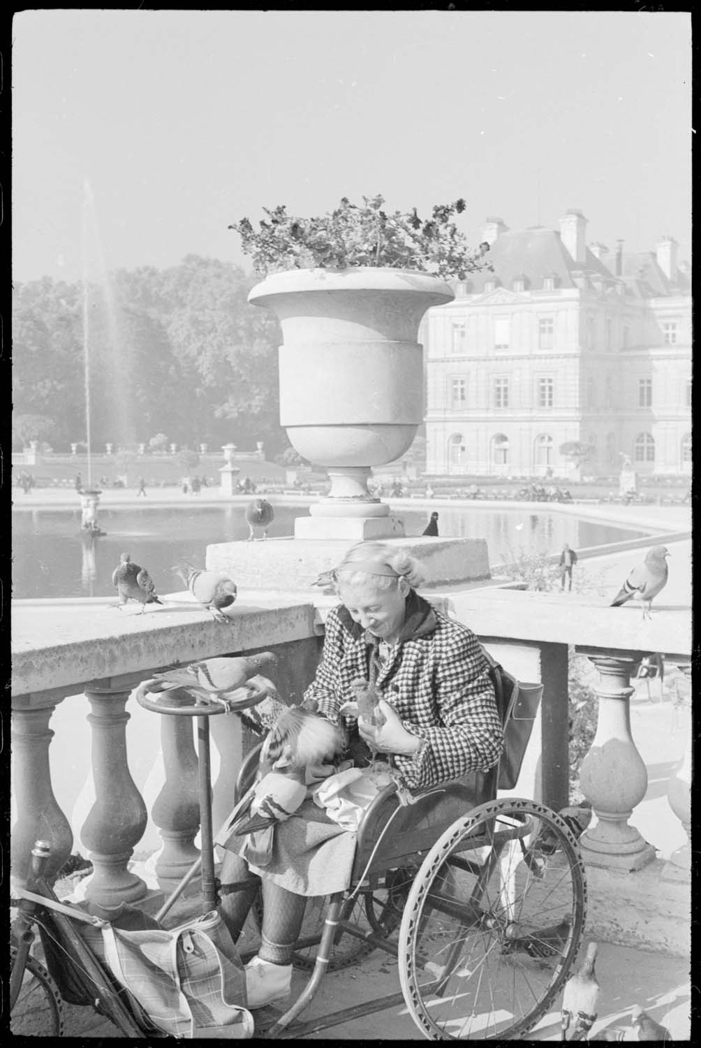 Vieille femme nourrissant des pigeons dans le jardin du Luxembourg