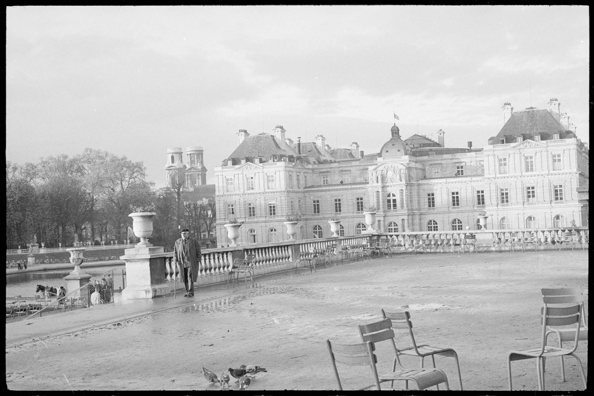 Promeneurs dans le parc