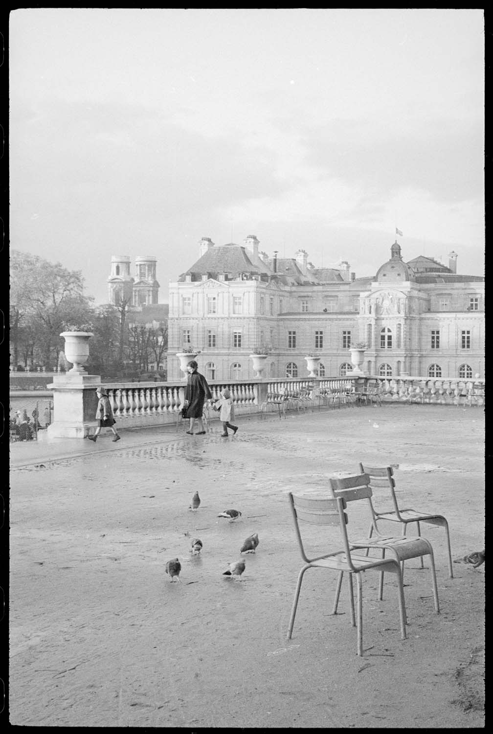 Promeneurs dans le parc