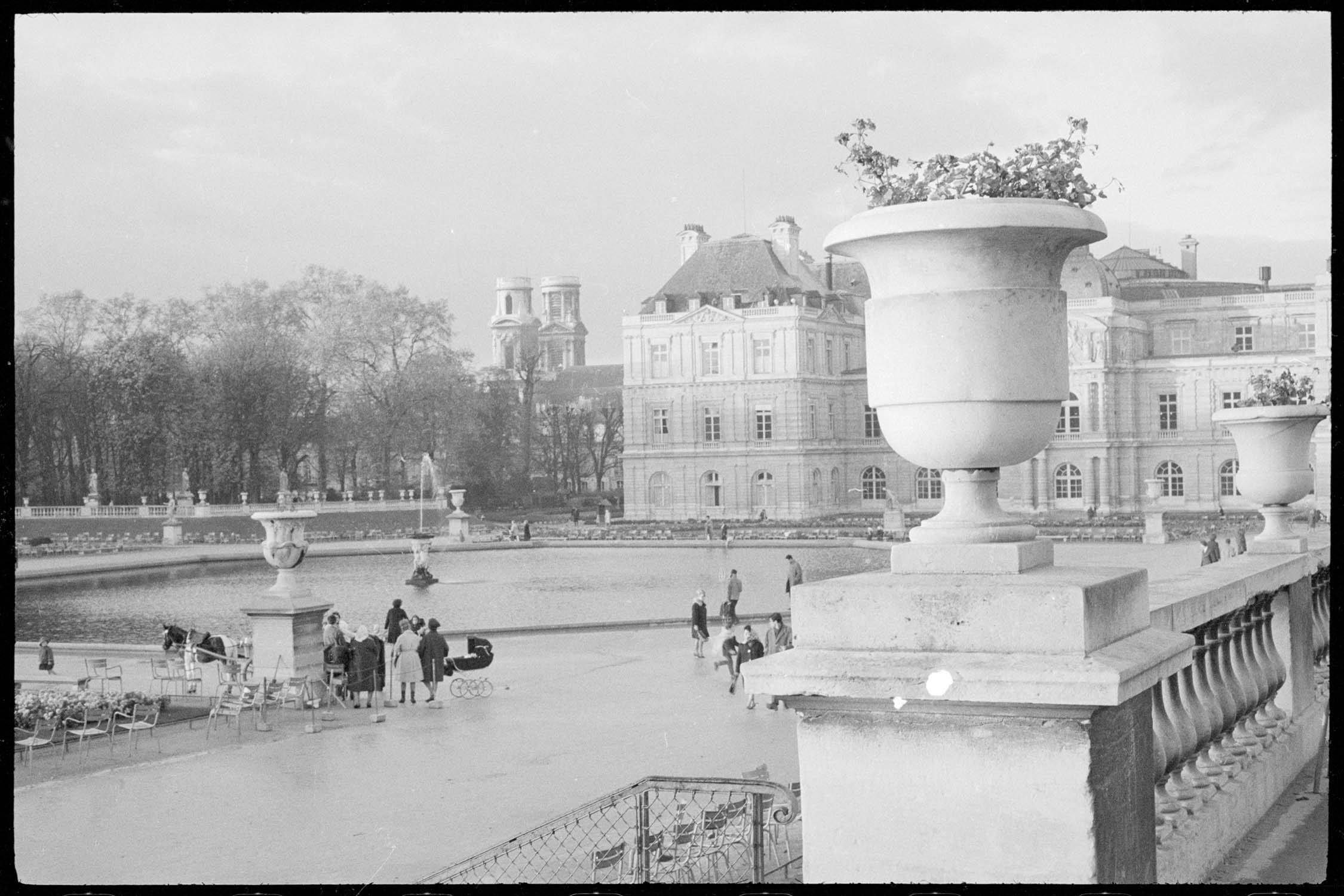 Promeneurs dans le parc