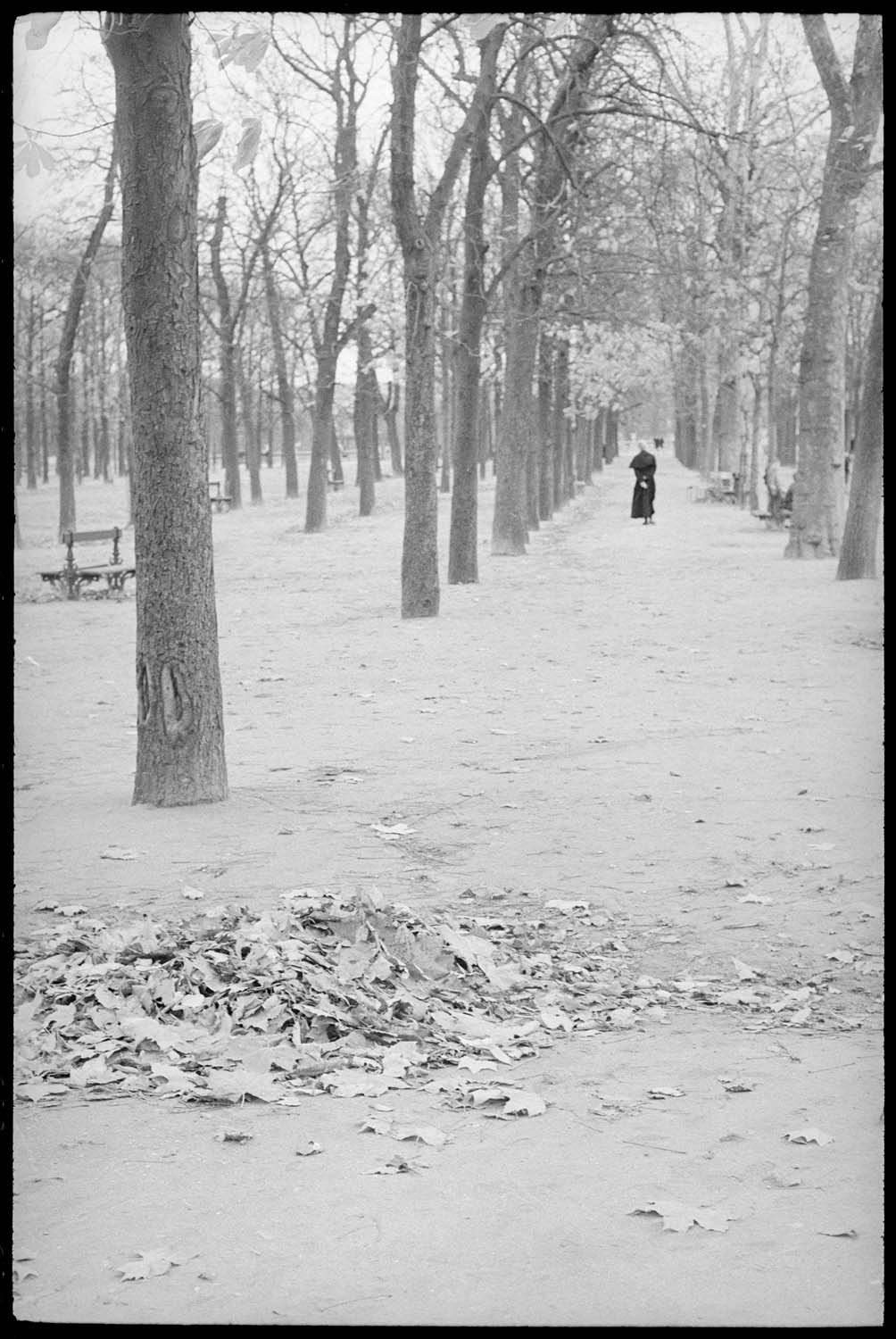 Un homme dans un e allée du parc