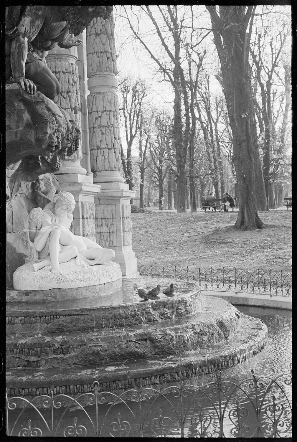 Pigeons dans la fontaine Médicis