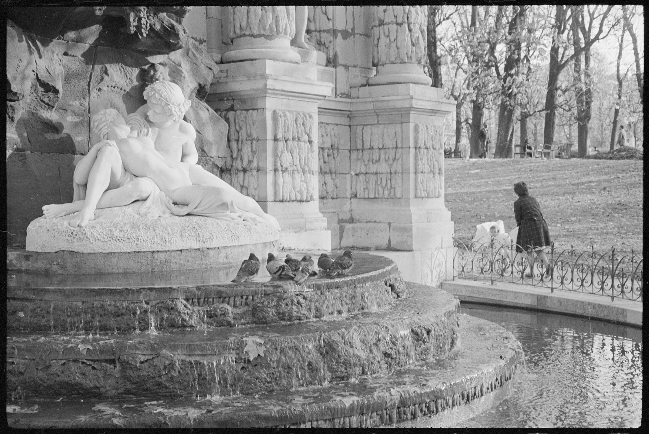 Pigeons dans la fontaine Médicis