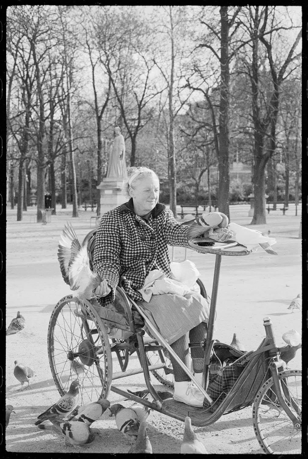 Femme dans un fauteuil roulant nourrissant des pigeons