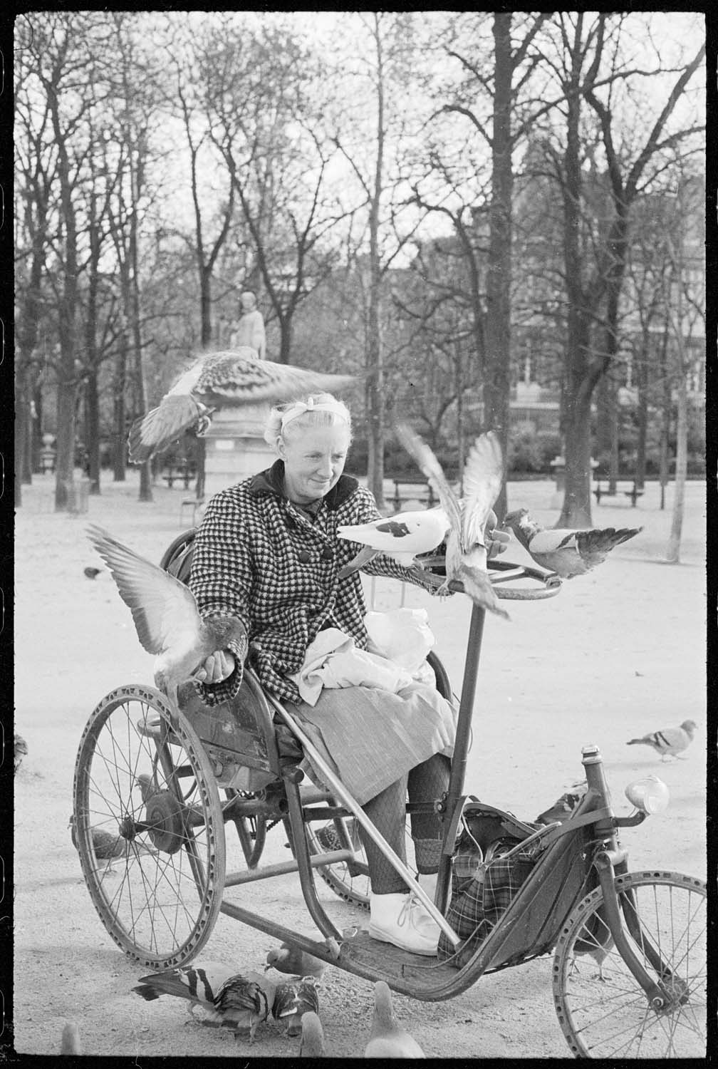 Femme dans un fauteuil roulant nourrissant des pigeons