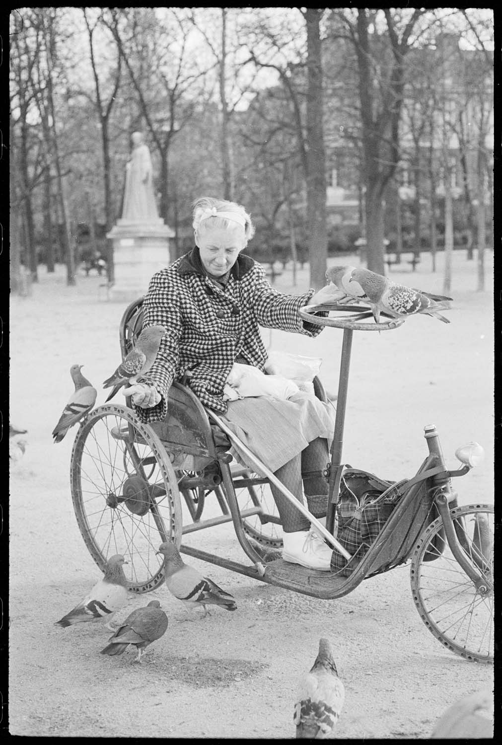 Femme dans un fauteuil roulant nourrissant des pigeons