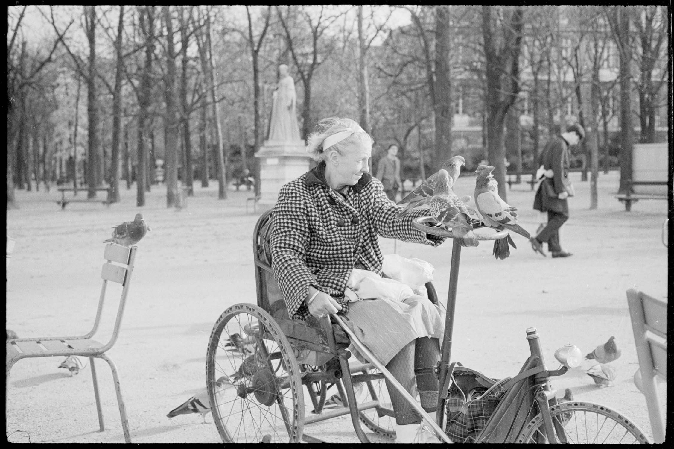 Femme dans un fauteuil roulant nourrissant des pigeons