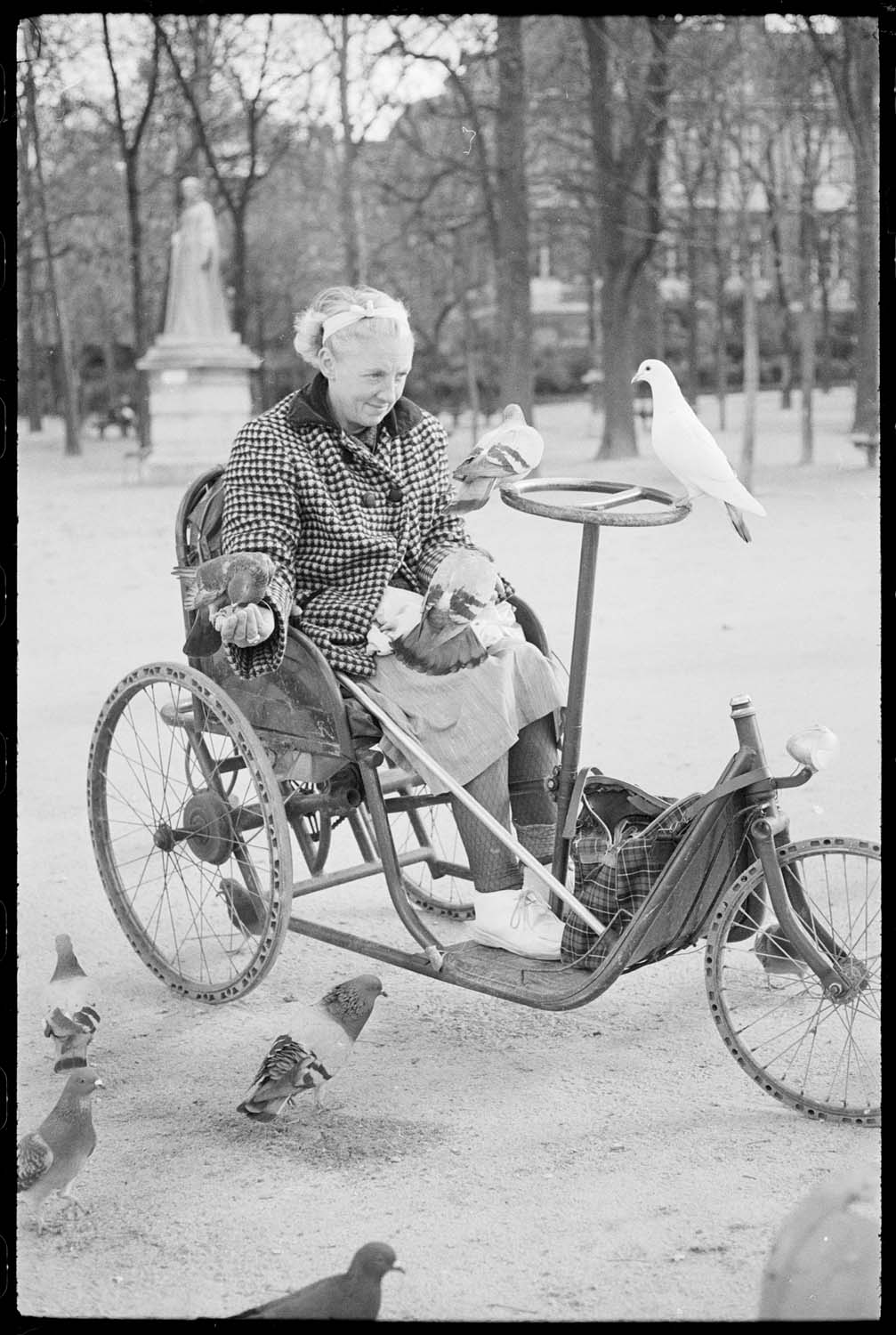 Femme dans un fauteuil roulant nourrissant des pigeons