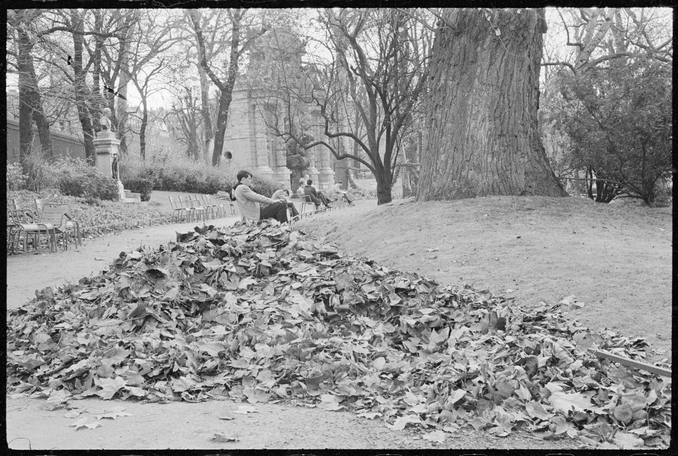 Tas de feuilles mortes et amoureux, en arrière-plan la fontaine médicis