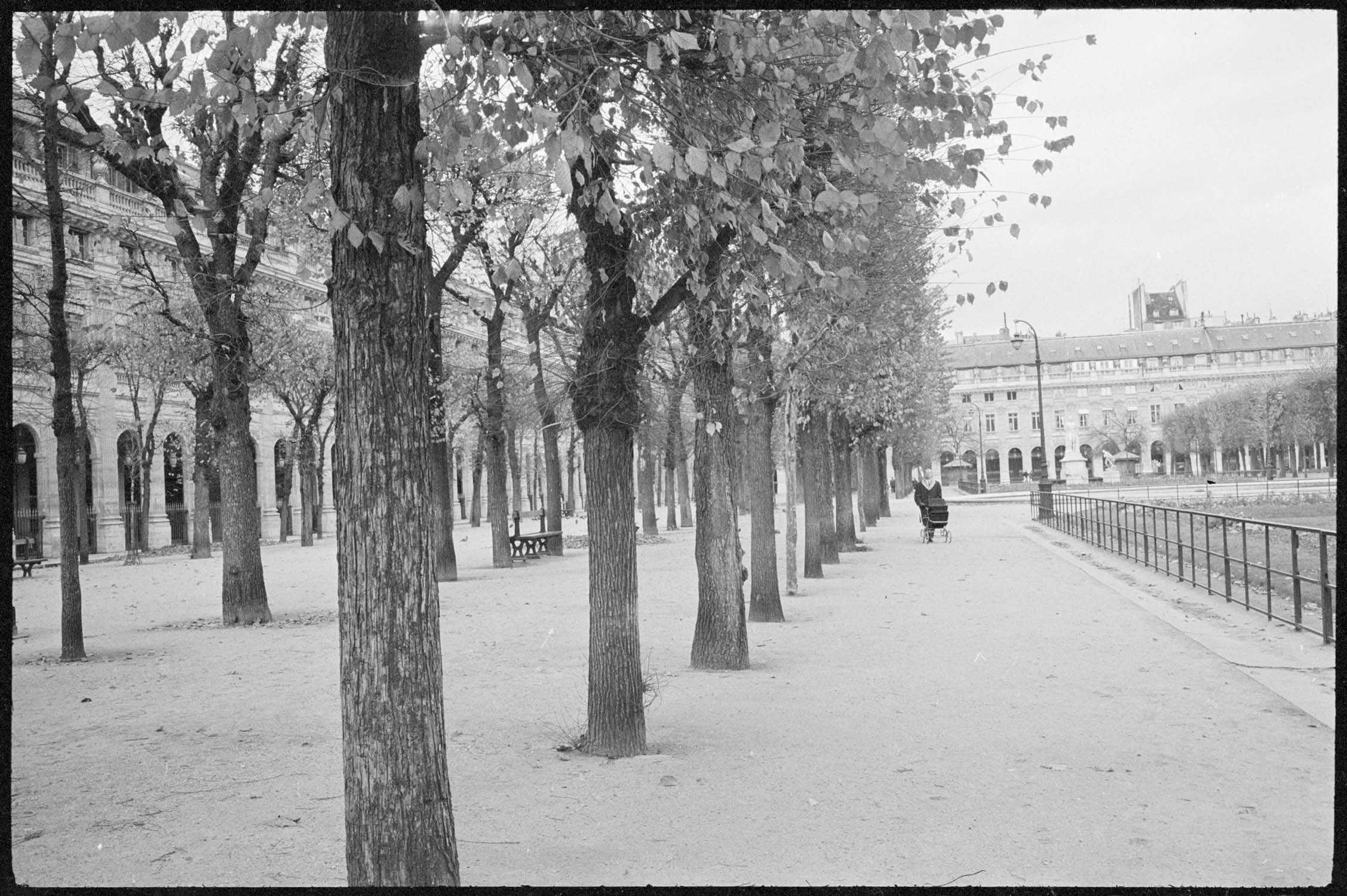 Une allée des jardins du Palais-Royal