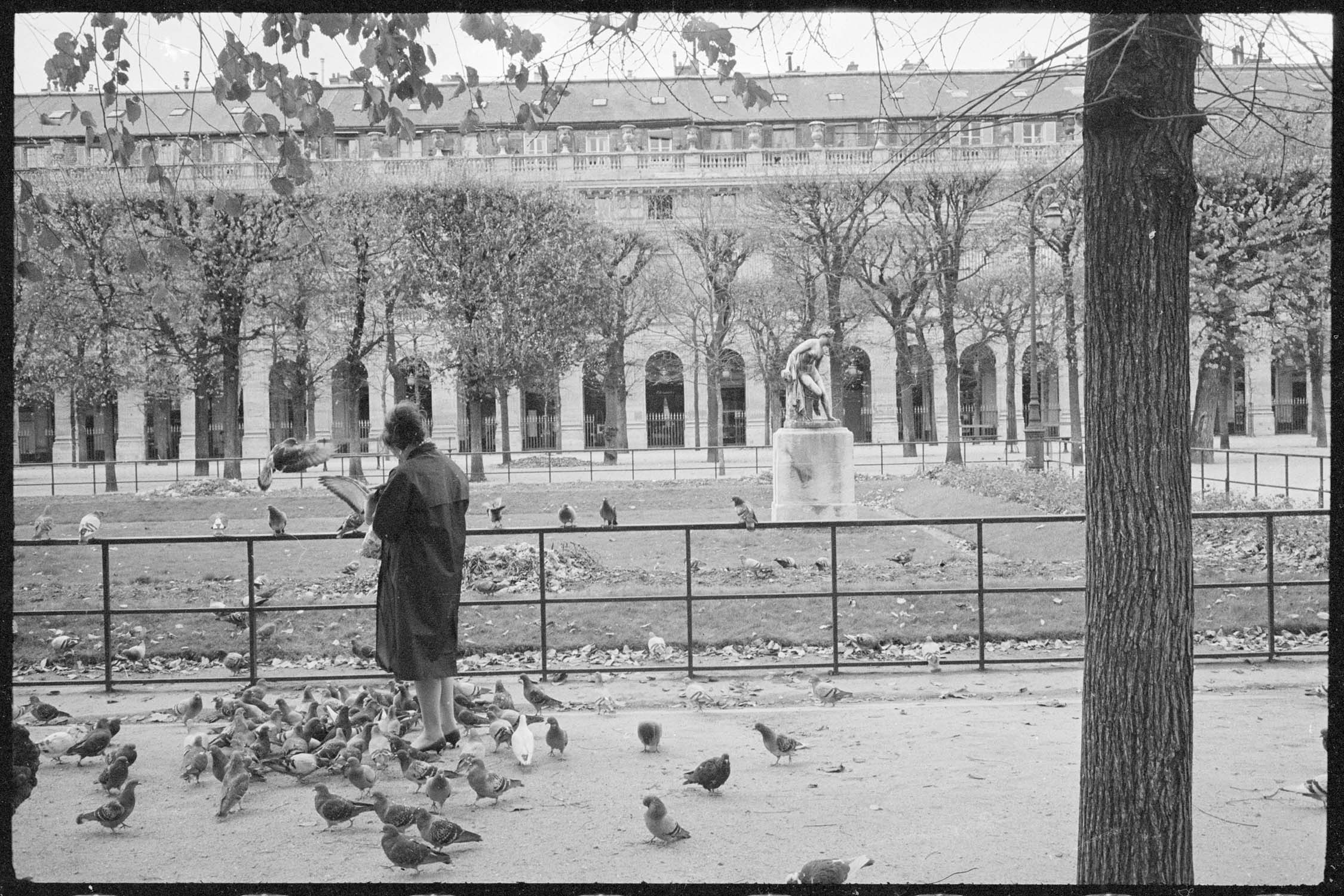 Une allée des jardins du Palais-Royal