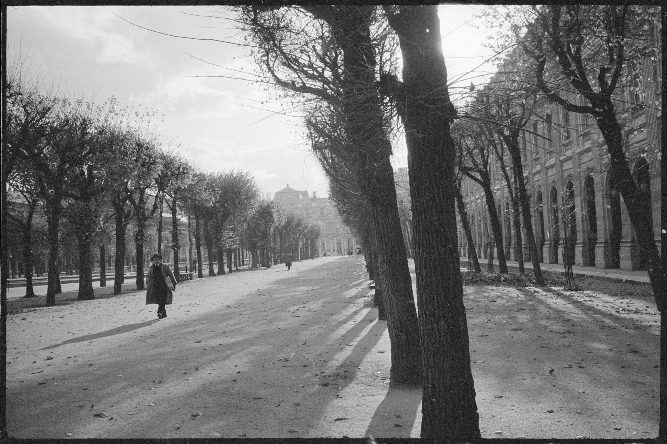 Une allée des jardins du Palais-Royal