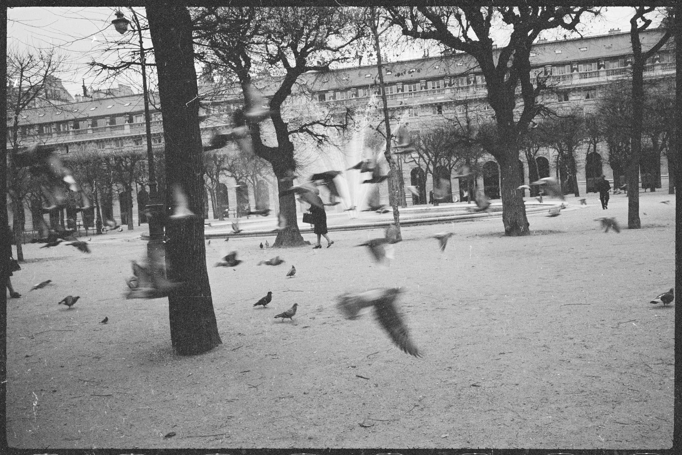 Bassin dans les jardins du Palais-Royal