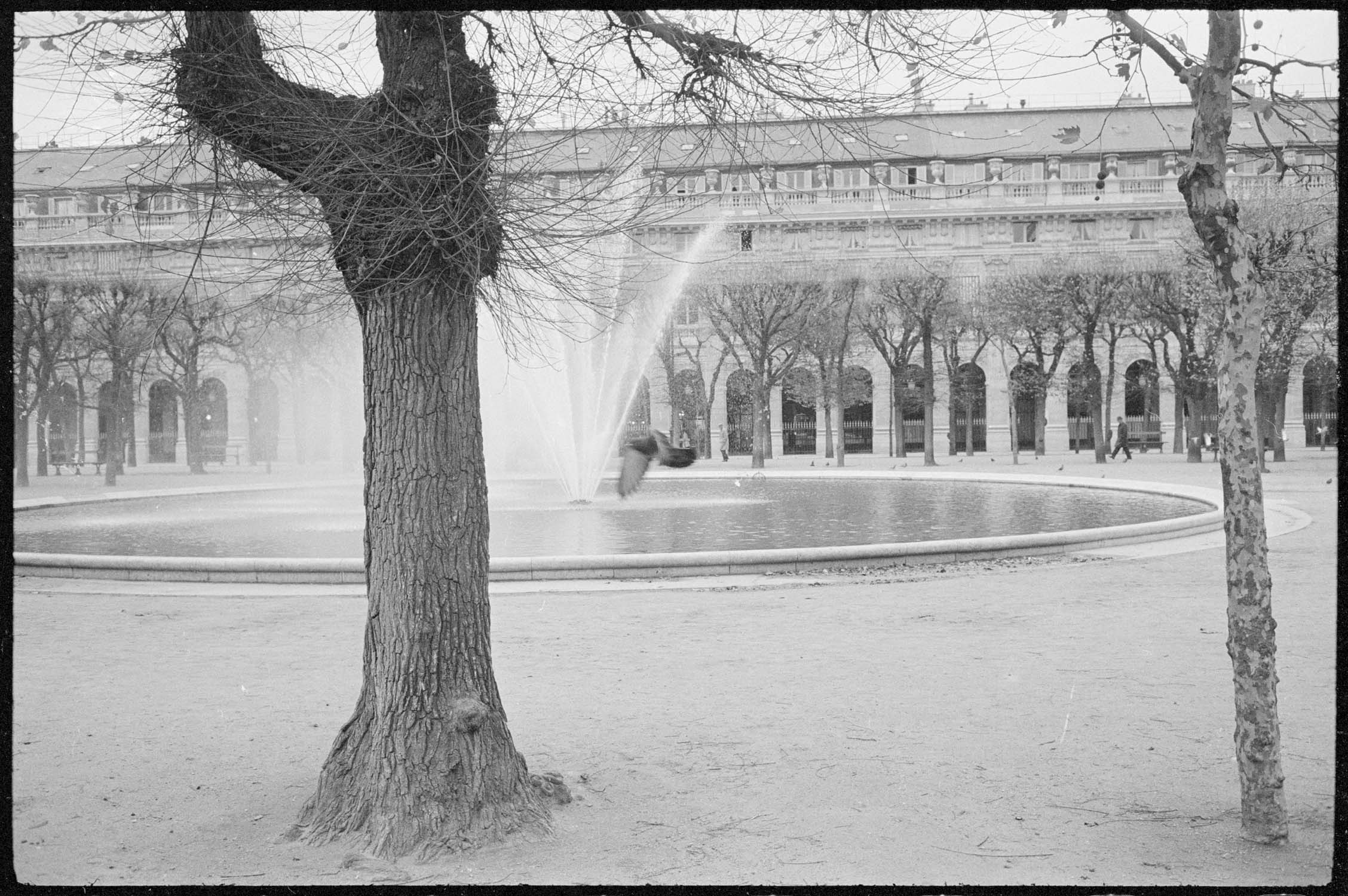 Bassin dans les jardins du Palais-Royal