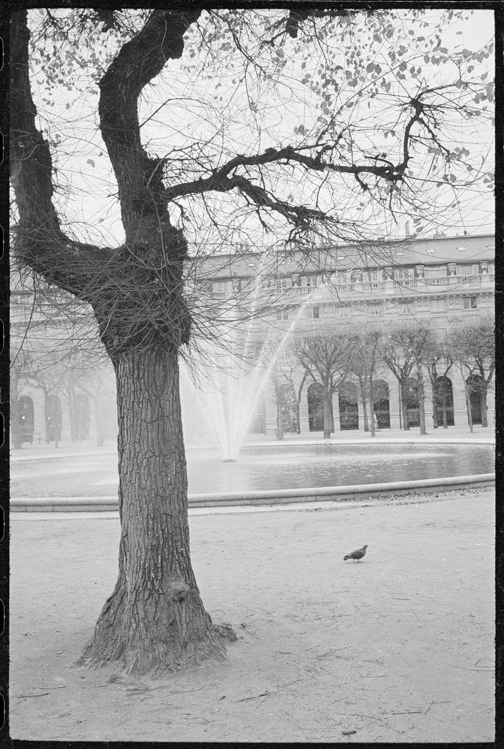 Bassin dans les jardins du Palais-Royal