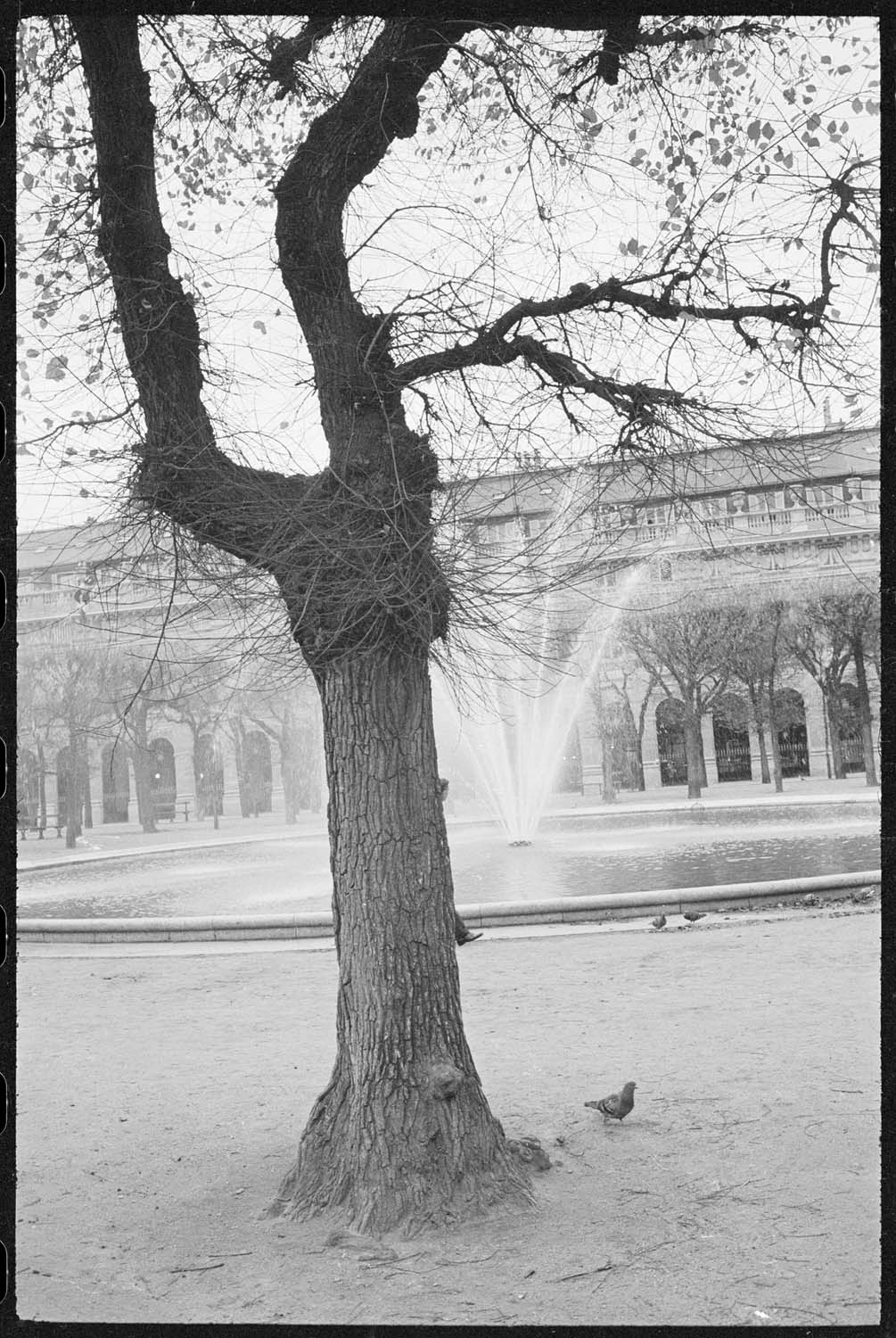 Bassin dans les jardins du Palais-Royal