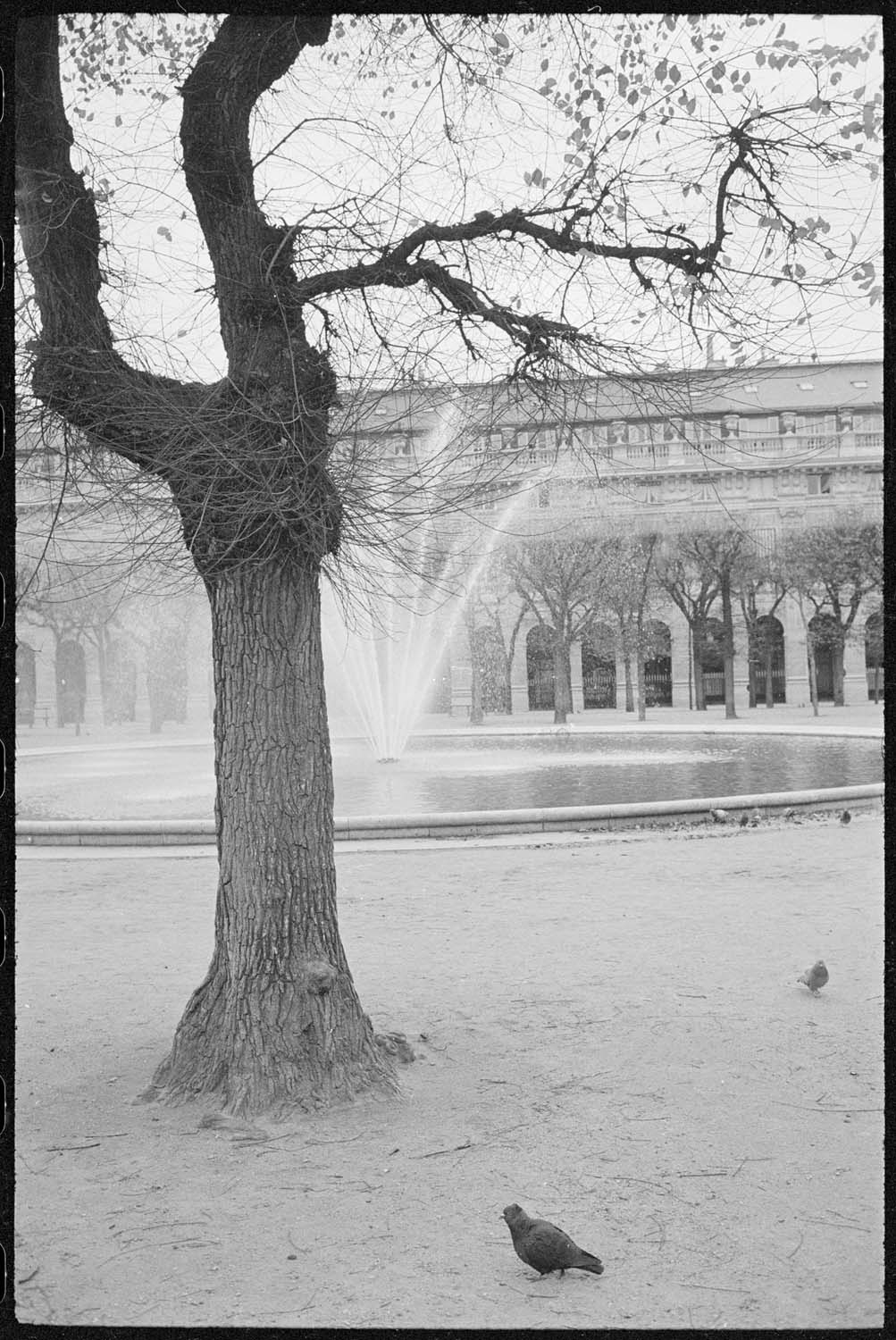 Bassin dans les jardins du Palais-Royal