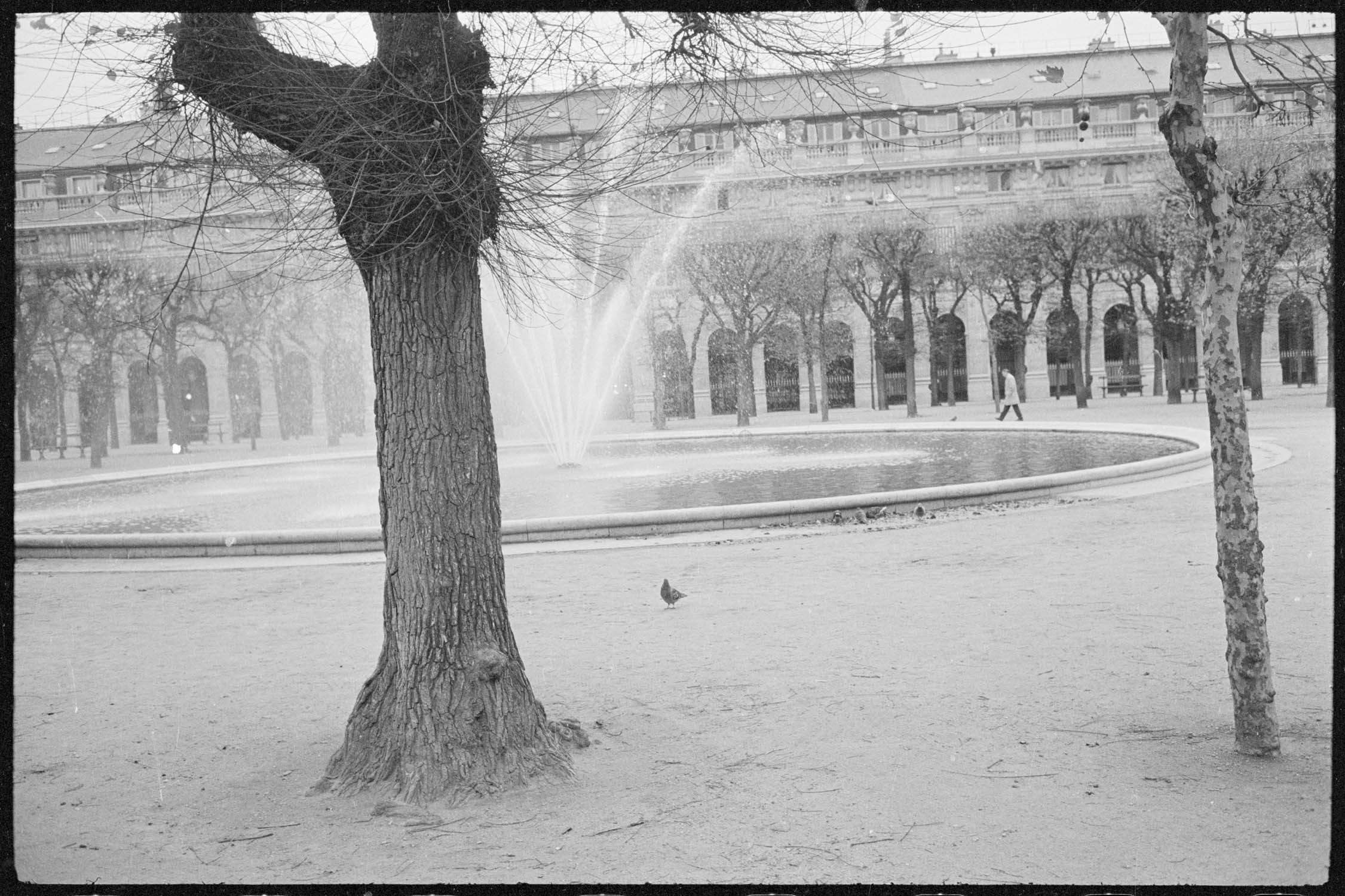 Bassin dans les jardins du Palais-Royal