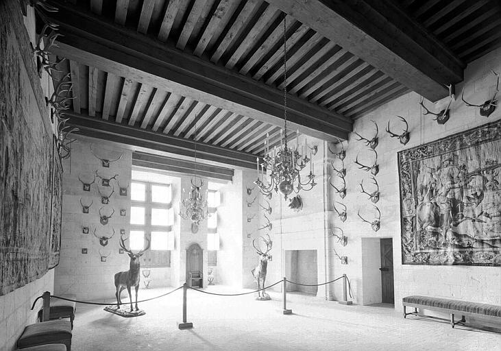 Salle des chasses François 1er (rez-de-chaussée) : Vue d'ensemble vers la fenêtre