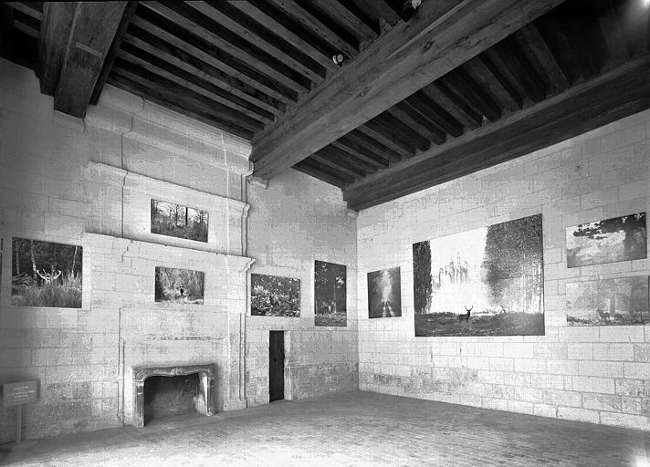 Salle des chasses François 1er (rez-de-chaussée) : Vue d'ensemble vers la cheminée