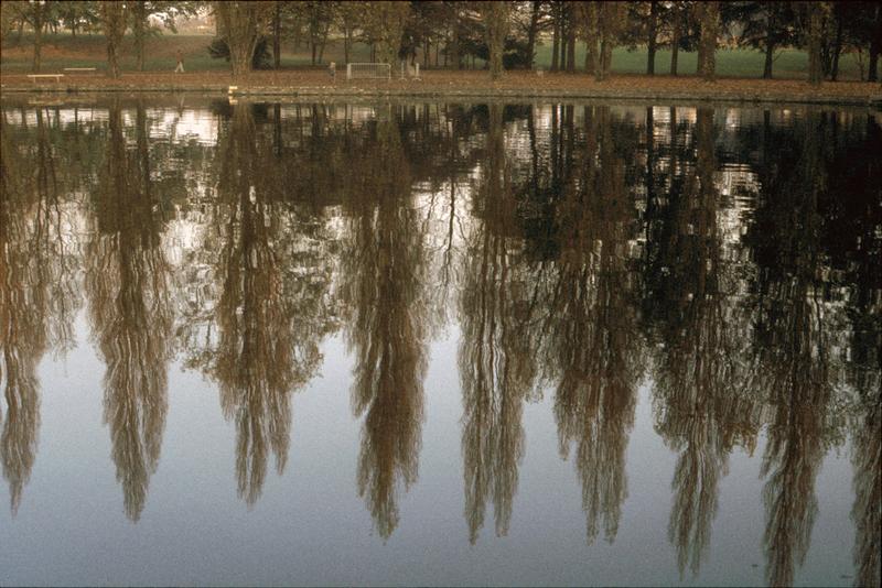 Parc : arbres se reflétant dans le grand canal