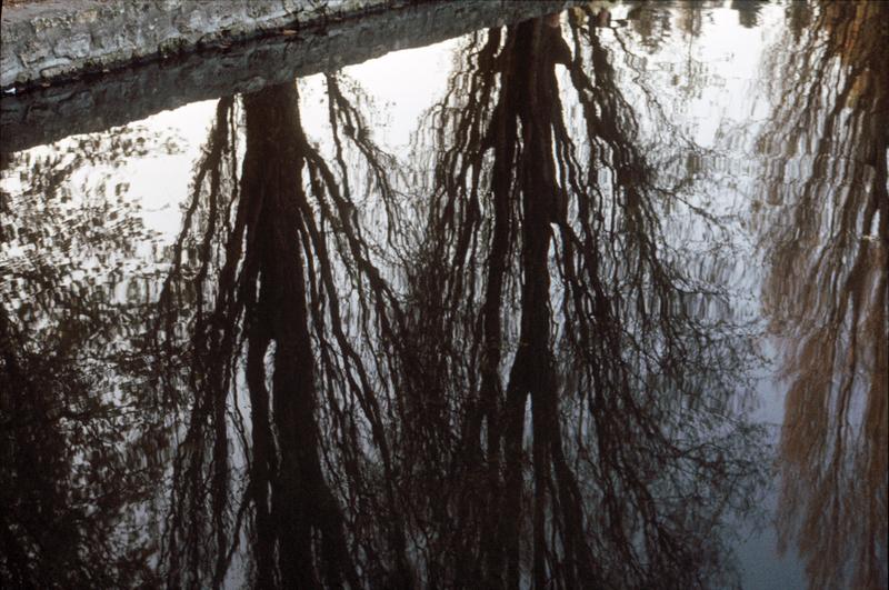 Parc : arbres se reflétant dans le grand canal