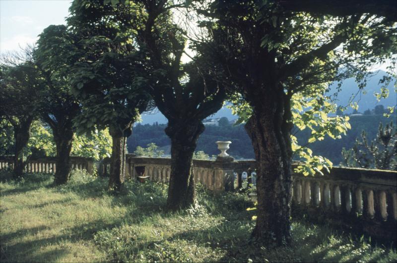 Terrasse du château, vue sur la ville