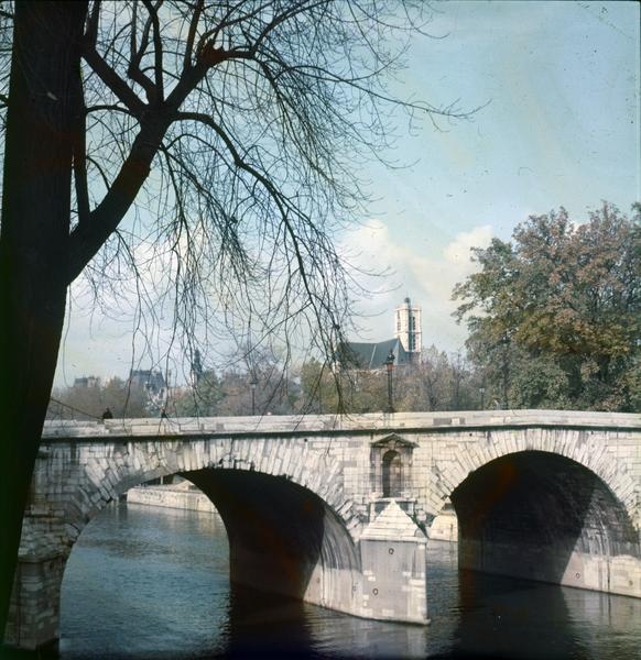 Un arbre devant une arche du pont