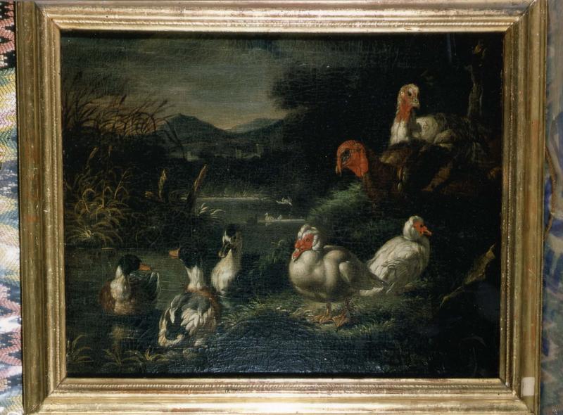 Tableau, cadre : Canards et dindons