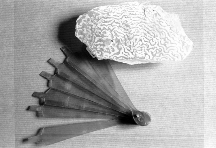plaque d'écaille blonde et monture - © Ministère de la Culture (France), Médiathèque du patrimoine et de la photographie (objets mobiliers), tous droits réservés