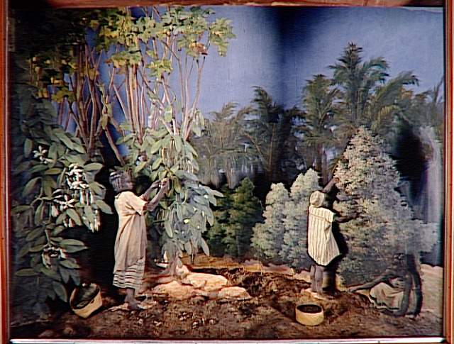 diorama : Vanille et Girofle