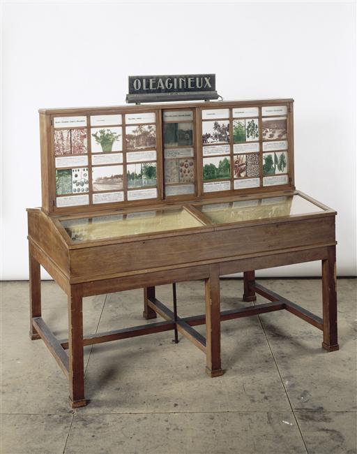 mobilier rétro-éclairé (photographies sur verre et éclairage intégré) : Les oléagineux, meuble-vitrine double