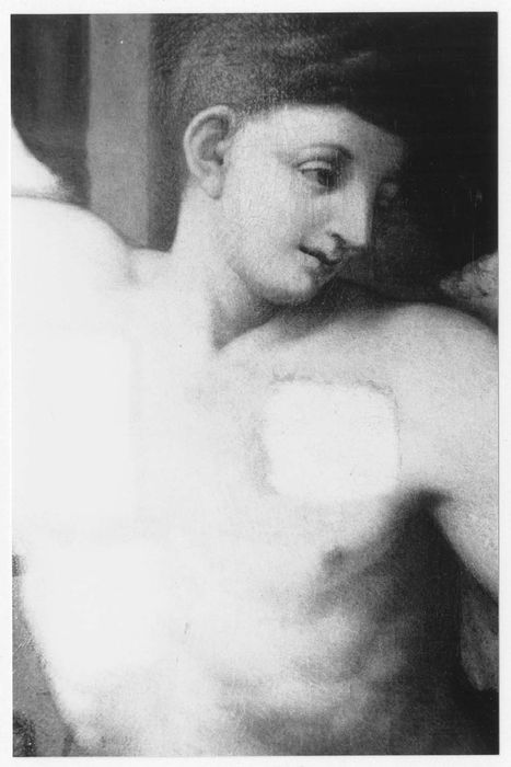 tableau : Saint Roch et l'ange, détail