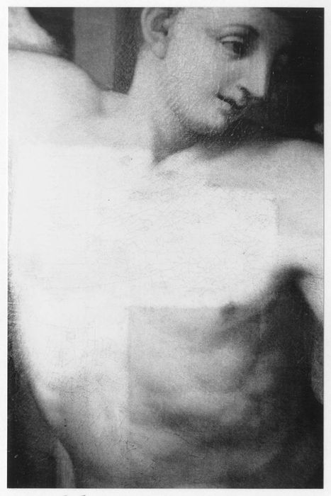 tableau : Saint Roch et l'ange, détail