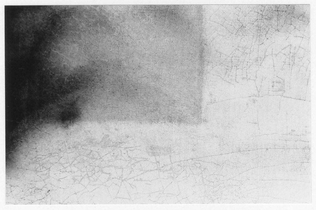 tableau : Saint Roch et l'ange, détail