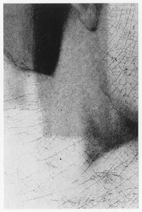 tableau : Saint Roch et l'ange, détail