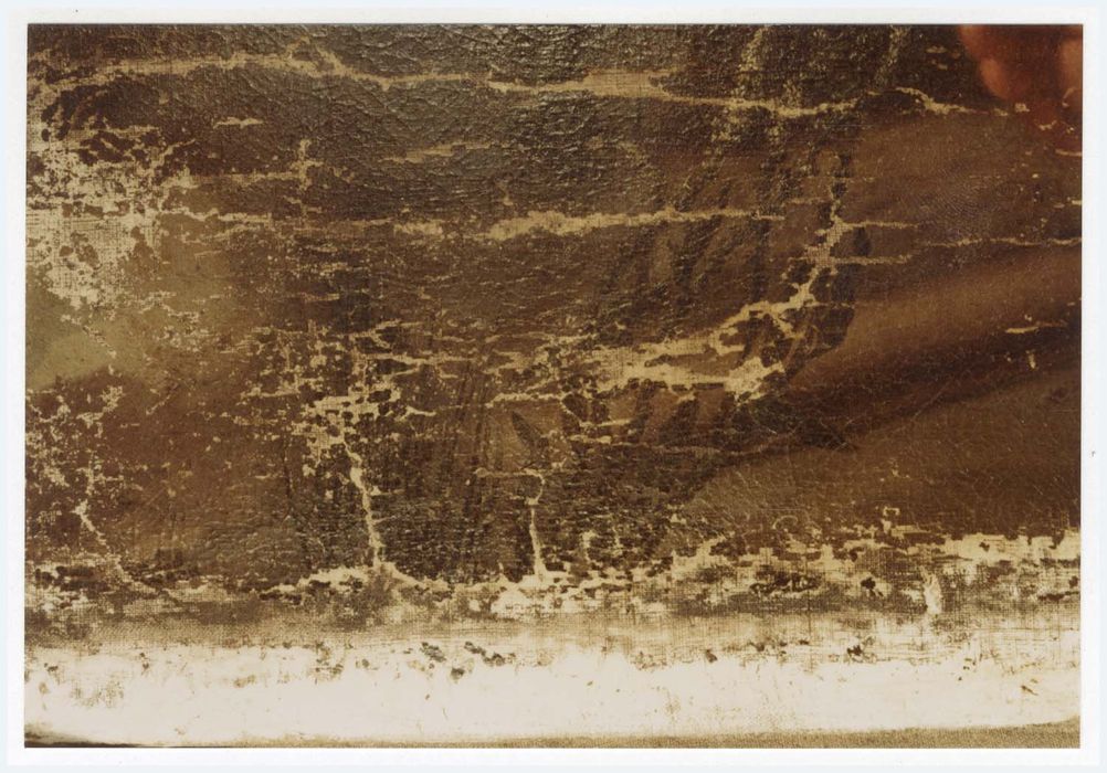 tableau : Saint Roch et l'ange, détail