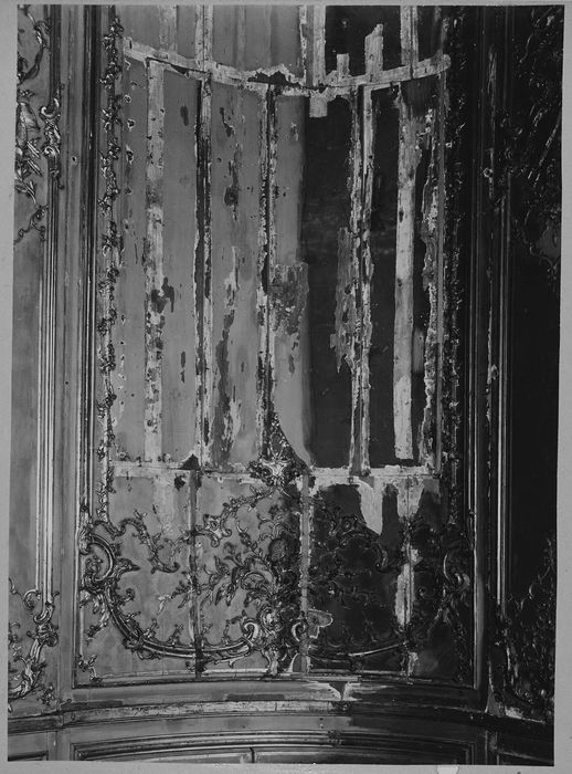 salon, détail des lambris de revêtement