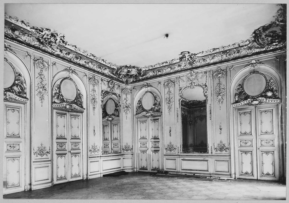 salon, vue partielle des lambris de revêtement