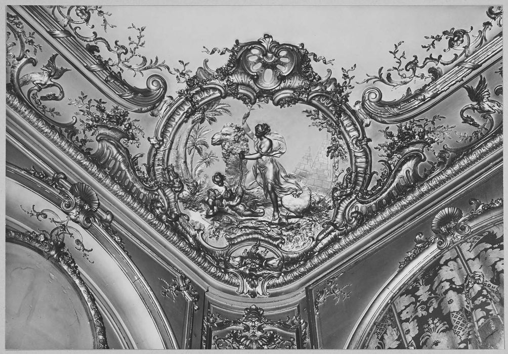 salon, détail des lambris de revêtement