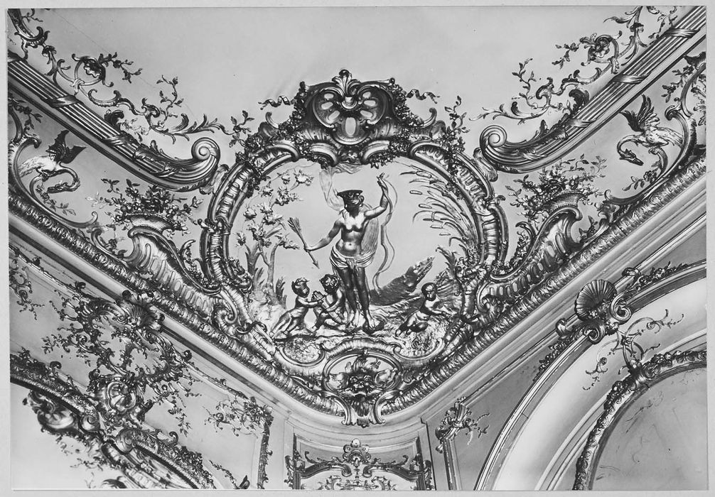 salon, détail des lambris de revêtement