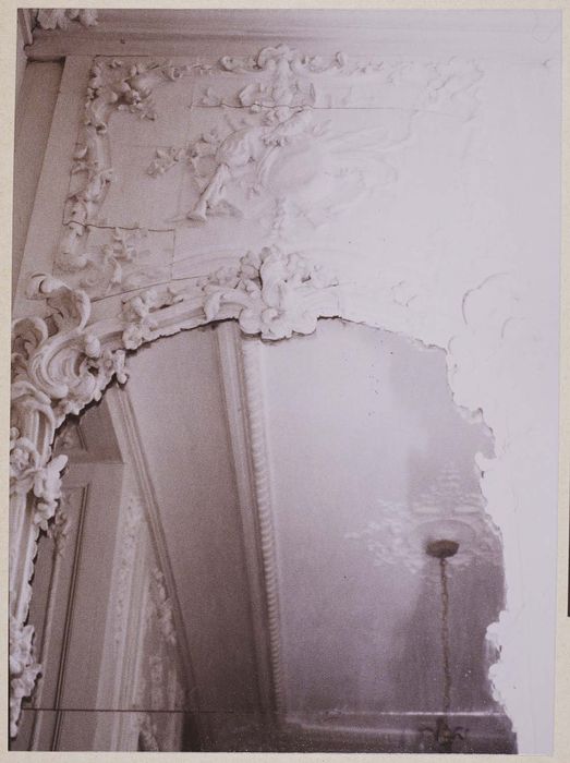 lambris de revêtement du salon de musique, vue partielle