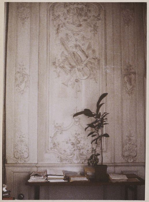 lambris de revêtement du salon de musique, vue partielle