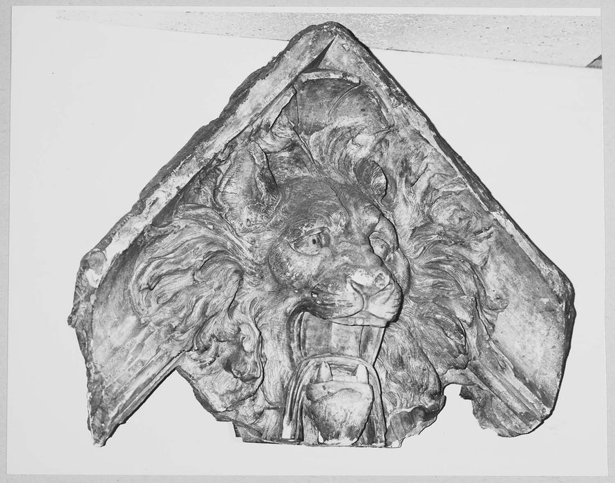 agrafe (fragment lapidaire) : Lion