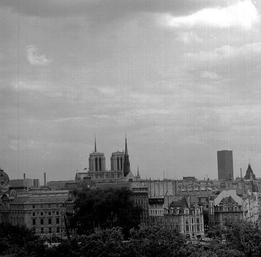 Vue panoramique prise des toits du Louvre : La Cité, Notre-Dame, La Tour Montparnasse