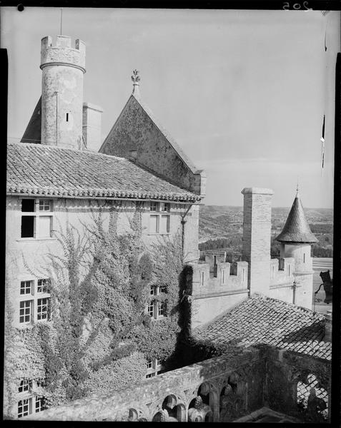 Vue partielle : tour, tourelle, crénelage et épi de faîtage