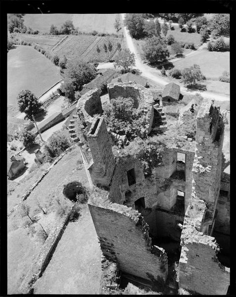 Tour ronde en ruines : donjon du 13e siècle