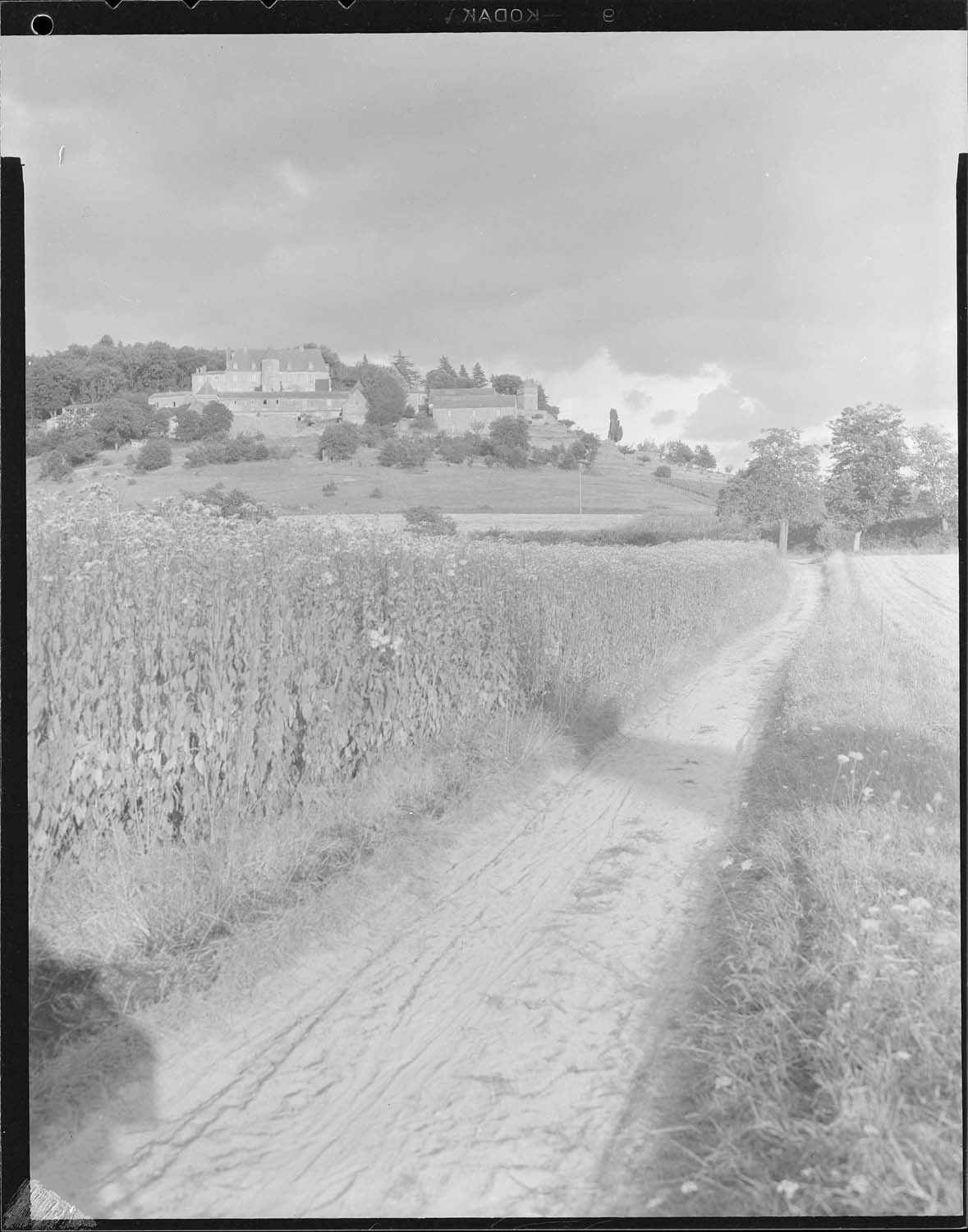 Vue générale du château dans son environnement