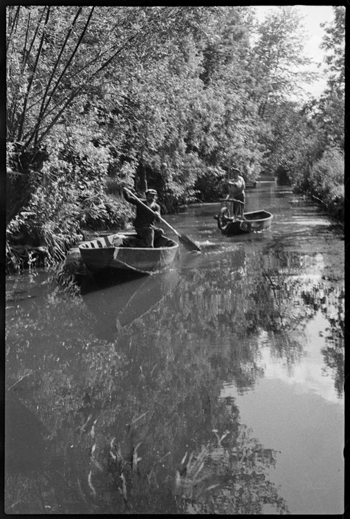 Marais poitevin